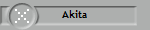 Akita