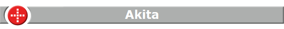 Akita