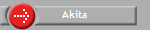 Akita